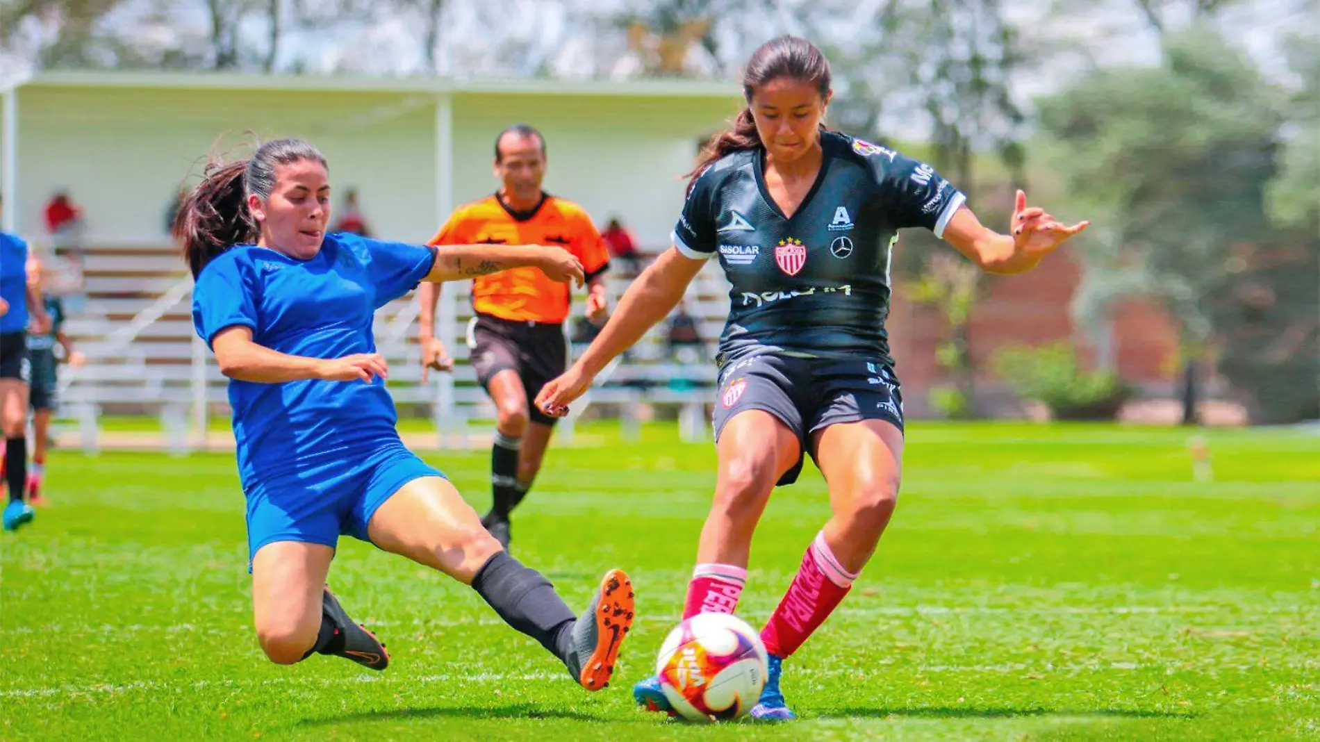 centellas de necaxa y tepatitlan